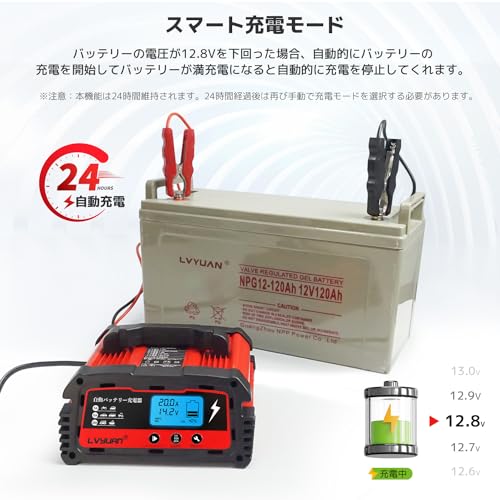 LVYUAN 20A 自動パルスバッテリー充電器