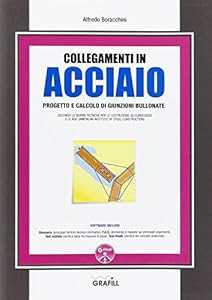 Collegamenti in acciaio. Con Contenuto digitale per download e accesso on line