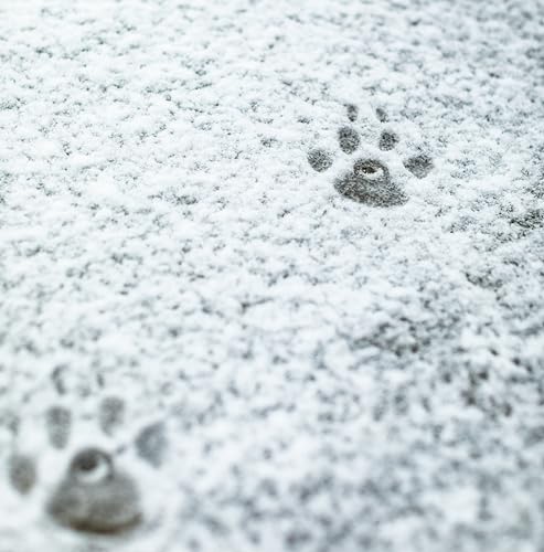 Wolf-Mountain-Lion-Ski-Pole-Baskets