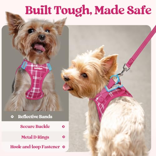 Image of rabbitgoo Dog Harness Medium Sized and Leash Set, Step-in Puppy Pet Vest
