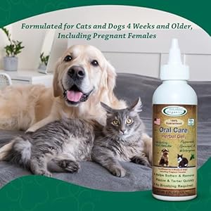 Dog breath freshener herbal dog  cat dental gel 4oz  oral care gel for dogs and cats soften and remove plaque  tartar no brush oral gel for cats teeth and gums herbal gel   cucciolini doodles