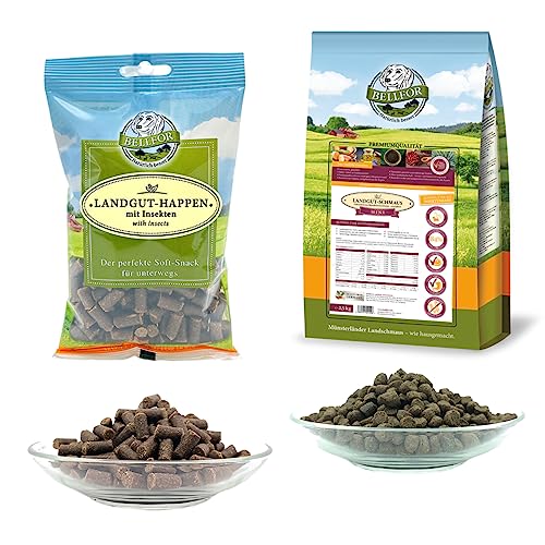 Bellfor Futterset für Havaneser – Hypoallergenes, getreidefreies Trockenfutter mit Insektenprotein 2,5 kg, Soft-Snacks 200 g & Ergänzungsfuttermittel Immun Pulver 50 g