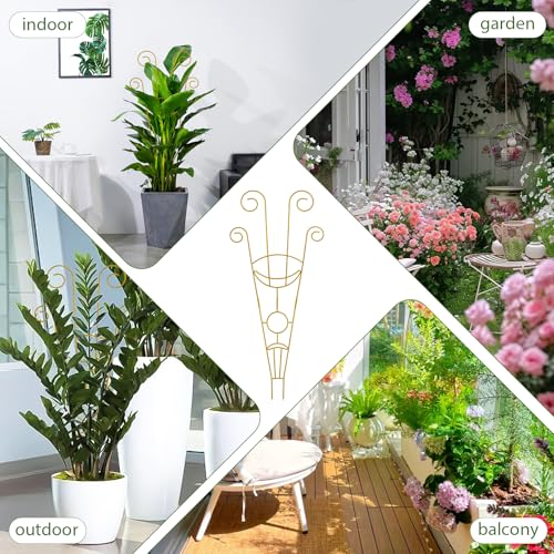 Image of ZOUTOG Trellis for Climbing Plants Indoor 4 Pack 30 Inch,Rustproof Metal Garden Trellis for Potted Plants,Sturdy Houseplant Support Indoor Outdoor for Ivy Pothos Monstera Hoya Flower Vine(Golden Moon)