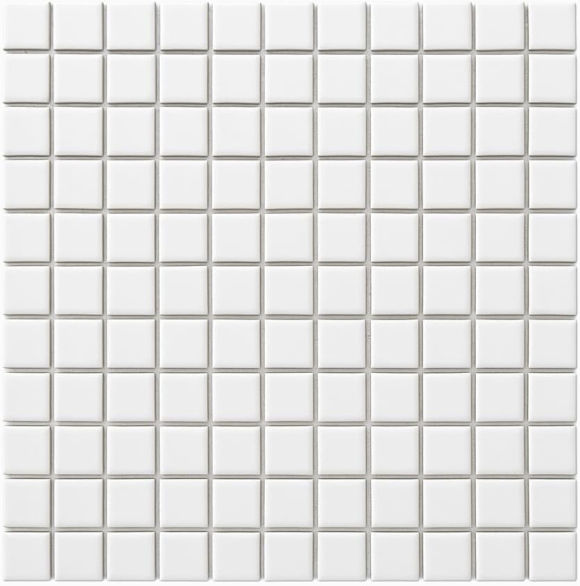 Tenedos 1x1 Square White Porcelain Mosaic Tile for Bathroom Walls, Shower, Pool, Entryway, Floor and Backsplash, Easy Installation (2 Sheets)
