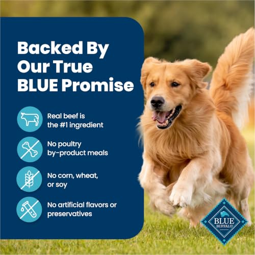 Blue Buffalo Homestyle Recipe Beef Adult Wet Dog Food, 12.5 oz, 12 ct