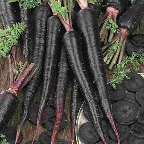 SimXotic Black Carrot Vegetables Seeds (100 Seeds) (B08JKHHN9L) Amazon Price History, Amazon Price Tracker