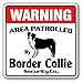 Produktbild Funny Deko Schilder Border Collie Sicherheit Schild Bereich 'Pet "Nadia Herding Dog vet Lover Animal Metall Aluminium Schild für Garagen, Wohnzimmer