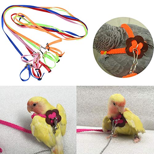 DXQDXQ Reptielen harnas harnas riem verstelbaar 1,2 m lijn en harnas gemaakt van nylon voor kleine huisdieren om te… - Image 7