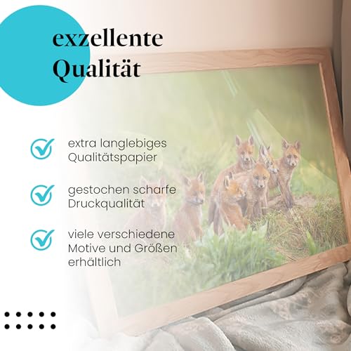Postereck - 3479 - Fuchs, Rudel Wiese Tier Welpe Natur Nachwuchs - Wandposter Fotoposter Bilder Wandbild Wandbilder - Poster - 4:3-81,0 cm x 61,0 cm