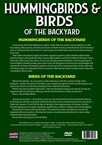 Hummingbirds: identificación y hábitos de aves silvestres 3