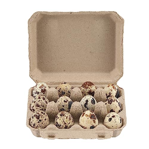 30 Pcs Quail Egg Cartons, Dozen Egg Box, 3x4 Blank Natural Color Pulp Paper Eggs Container, Egg Holder Reusable for 12 Count Quail Egg Carton Storage Strong Tray for Refrigerator