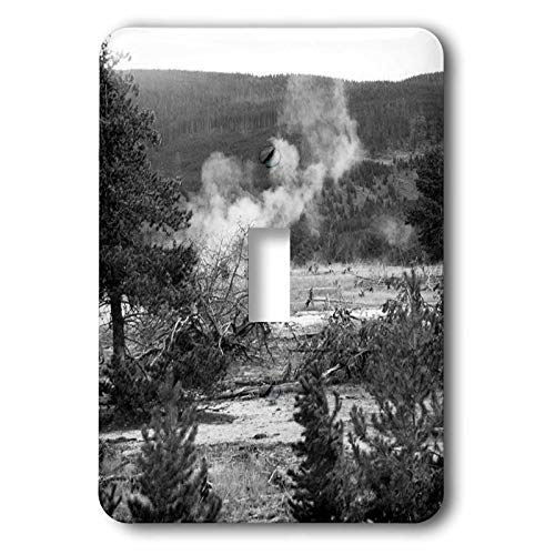 Interrupteur simple Yellowstone noir et blanc 3dRose lsp_323749_1
