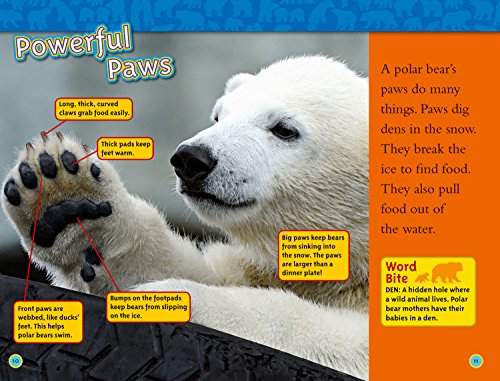 Polar Bears: Level 2 (National Geographic Readers) - Image 3
