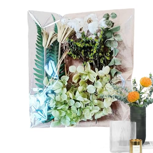 phCt[,hCt[,t[VbvVRԗtDIYLbg - Ԃ̗tN₩ȁAN₩ȃW[hAtHgt[ADIYAp