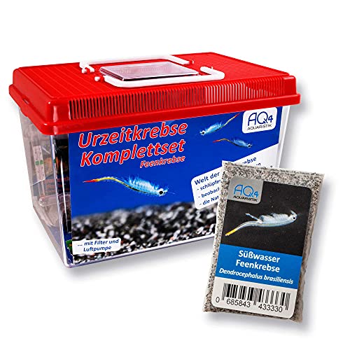 AQ4Aquaristik Feenkrebse Komplettset mit Urzeitkrebseiern: 6 l Aquarium, Filter, Luftpumpe, Zubehör, Zuchtansatz, Futter und Anleitung, Dendrocephalus brasiliensis