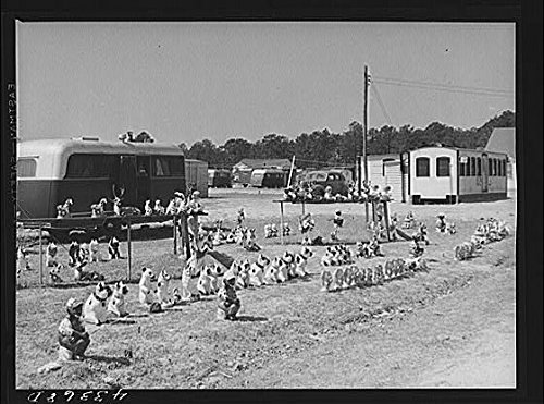 HistoricalFindings Photo Fayetteville NC March 1941 FSA