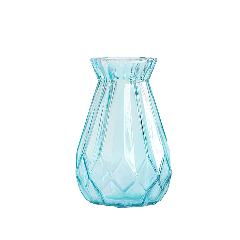 Koomuao - Florero de cristal transparente con diamante, jarrón de terrarios para plantas hidropónicas, maceta de flores, decoración para casa y oficina (azul, grande)