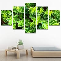 SIGNWIN 5 Panel Canvas Wall Art Abstract Colorful Decorative Elements Modern Artwork for Home Decorations Ready to Hang - 60