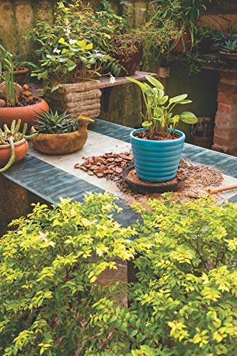 Tramontina Cachepô/vaso Para Flores Mimmo, Azul, 1,7 L