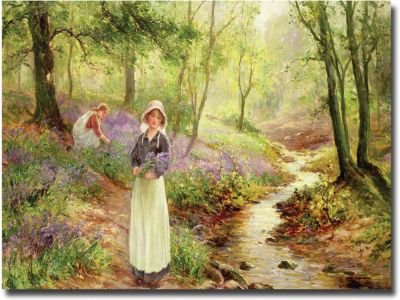 The Bluebell Glade by Ernest Walbourn, 30x47-Inch Canvas Wall Art