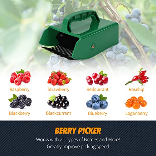 GUGULUZA Berry Picker Comb Plastic Blueberry Rake Scoop for Fruit Harvesting 24 * 14 cm (Green), 24 x 14 cm - Image 3
