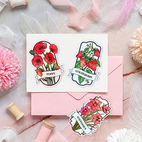 INFUNLY Set di timbri trasparenti in silicone con