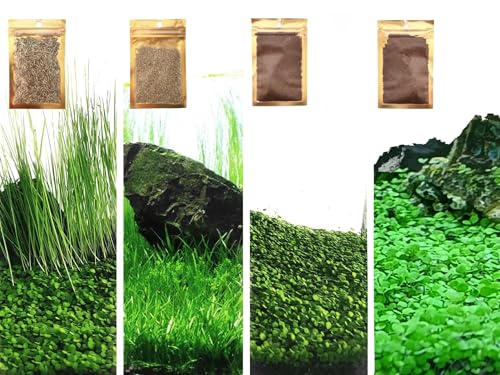 4 Bag Aquarium Plant S.e.e.ds, not Artificial Plastic Plant, Fish Tank Grass for All Substrate...