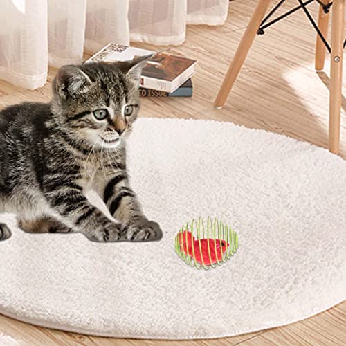 Brinquedos interativos para gatos - mouse com gaiola engraçada brinquedos para gatos - rato falso in