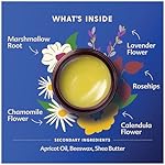 Motherlove Pregnant Belly Salve (4 oz) Moisturizing Balm to Use on Growing Belly—Non-GMO & Organic Herbs - Image 3
