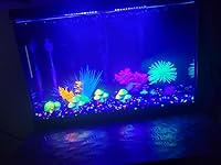 Review Image by T Davis T Davis