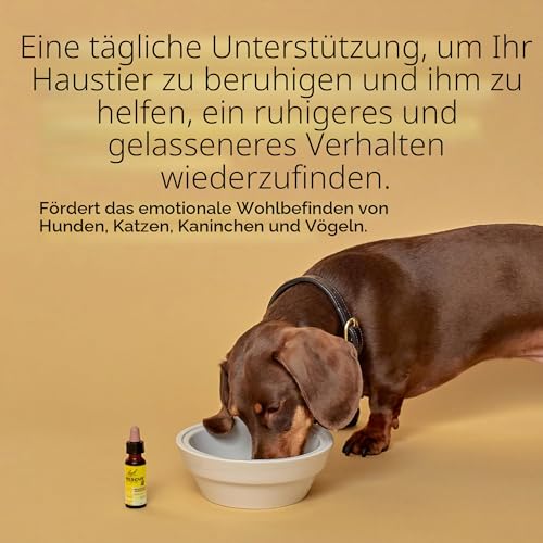 RESCUE PETS – Tropfer – Gelassenheit für Haustiere – Ideal für Reisen, Tierarztbesuch, Fellpflege, Lärm und Einsamkeit – ohne Alkohol, natürlich und vegan – Flasche 20 ml