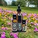 Bliss - Organic Essential Oil Blend (Mood Uplifting) 30 ml