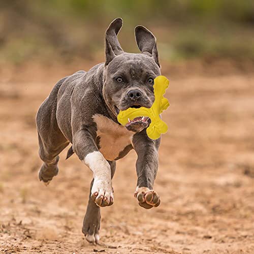 CVALIN Kauspielzeug für Aggressive Kauer, große Rassen, unzerstörbares Knochenspielzeug, langlebige Reinigungszahnbürste, Naturkautschuk, Hundespielzeug