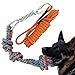 Dog Tug Toy, Outdoor Hanging Bungee Dog Toy, Interactive Dog Tree Toy for Tug of War, Bite Training, Pull Exercise, Puppy Interactive Bite Training, Solo Play, Orange