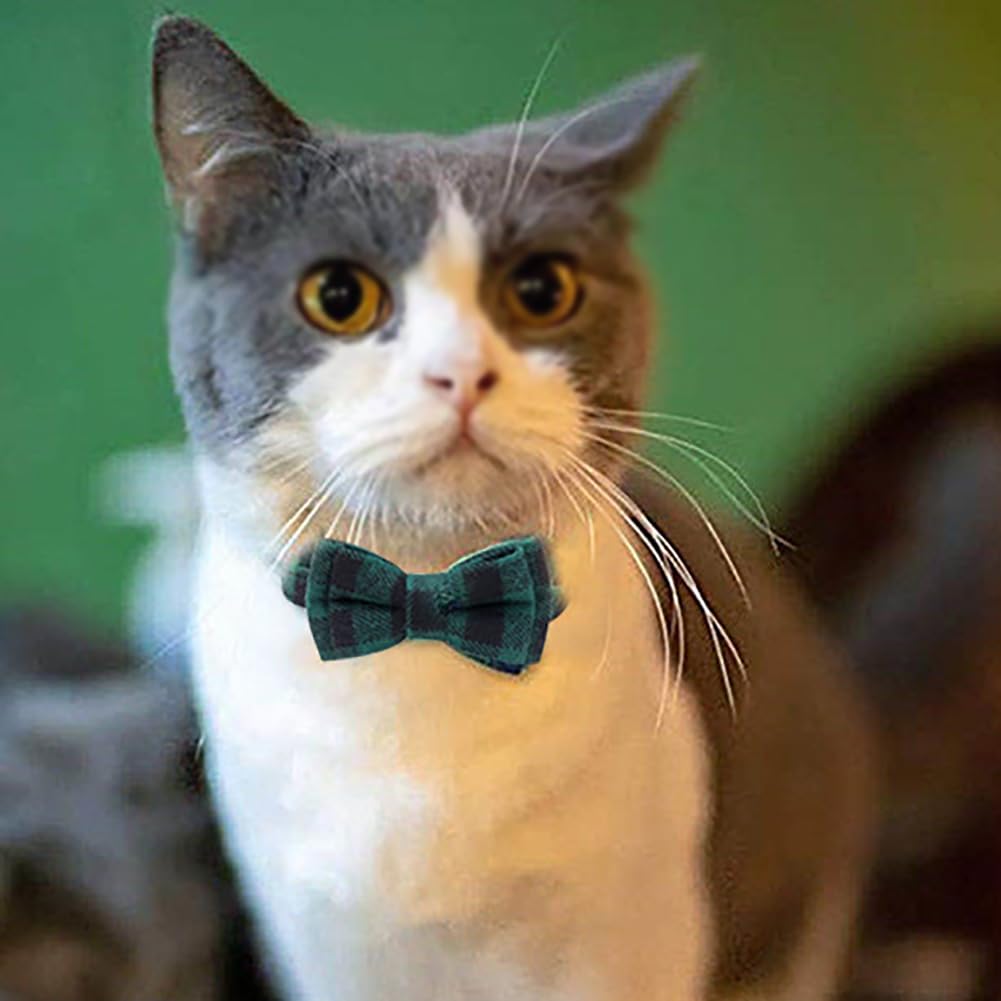 Wine Cat Collar with Bell | Safety Breakaway | Adjustable Large Size or Kitten Collar (Small(10lbs & Less), Silver)
