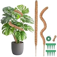 Monstera Rankhilfe, 2 x 60CM Biegsame Moosstab Monstera für Pflanzen mit Zubehör für Kletterpflanzen, Handgefertigte Kokosstab Monstera Moss Pole, Rankhilfe Zimmerpflanzen für Indoor Pflanzen