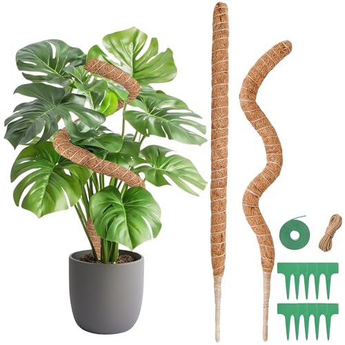 Monstera Rankhilfe, 2 x 60CM Biegsame Moosstab Monstera für Pflanzen mit Zubehör für Kletterpflanzen, Handgefertigte Kokosstab Monstera Moss Pole, Rankhilfe Zimmerpflanzen für Indoor Pflanzen
