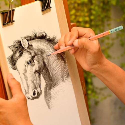 KALOUR 18-Piece Professional Sketch Pencil Set - Includes 5H to 14B Pencils, Vinyl Eraser, Kneaded Eraser,Sharpener and Paper Blending Stump -... - Image 7