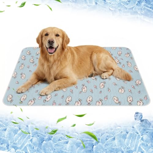 Tapis Rafraichissant Chat Chien, 50x70cm Coussin Auto Rafraîchissant en Latex Lavable en Machine, Tapis Pliable Bleu Clair pour Animaux, Couverture Rafraichissante Idéal Maison Voiture Voyage Été