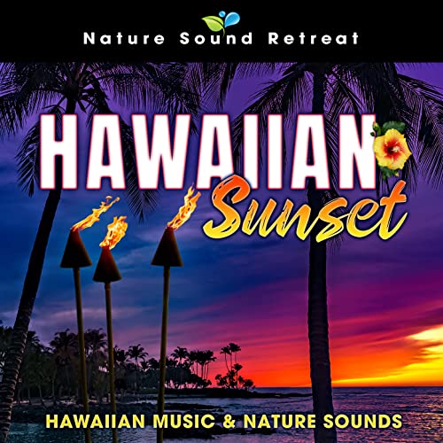 Aloha Oe - Hawaiian Slack Guitar & Ukulele Sunset On the Beach Ambience (Loopable)