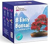  Bonsai Tree Kit Cultiva tus propias 8 hermosas variedades de árboles bonsai en casa Kit de cultivo completo: adecuado para principiantes y expertos Regalo para mujeres, hombres y niños