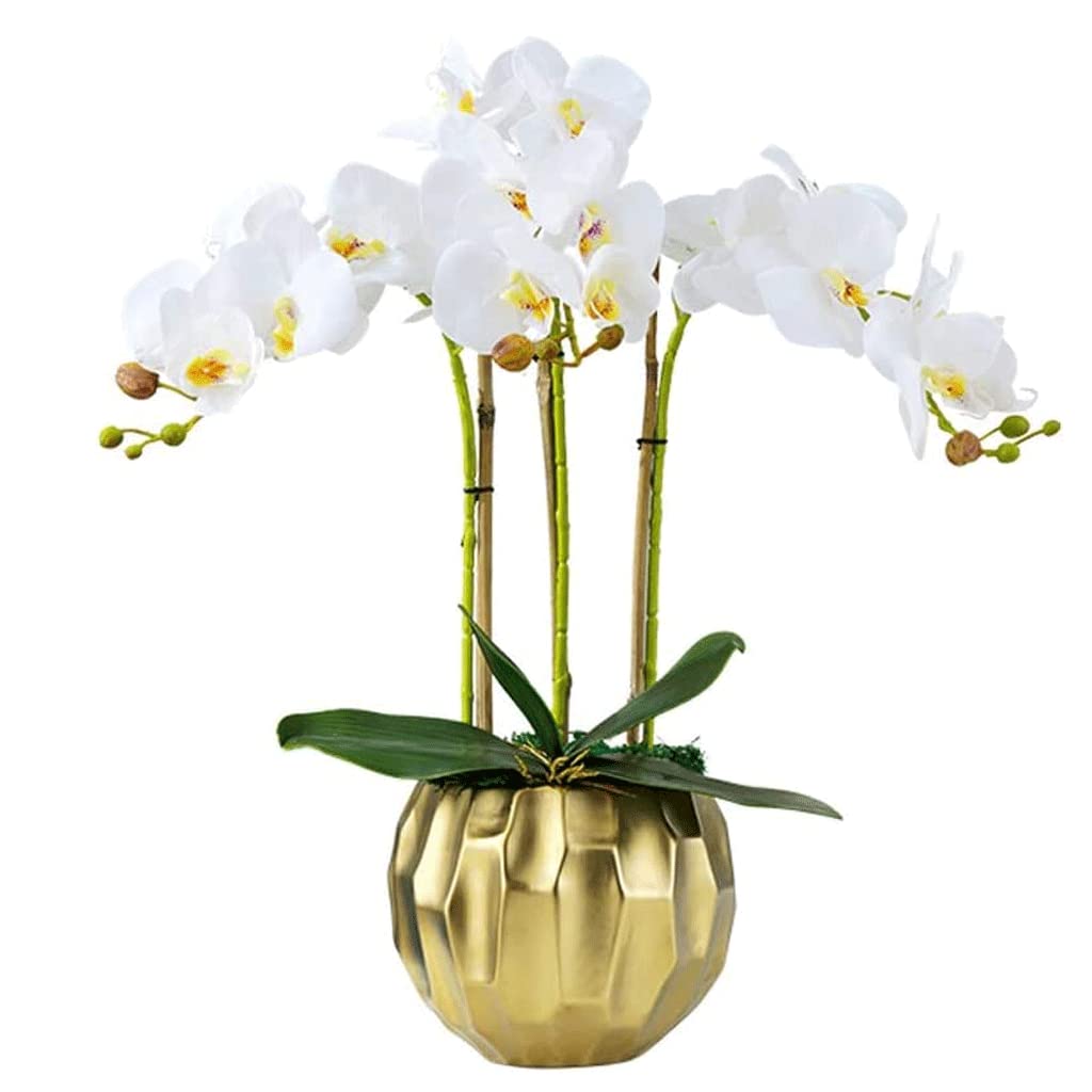 XDLEDMKIZ Orchid Artificial Flowers Artificial Phalaenopsis Flowers Simple Fashion Orchids Artificial Artificial Vivid Flowers Perfect Home Decorate natural look