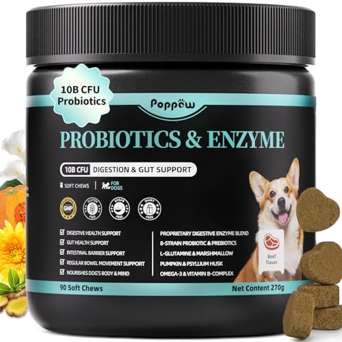Probiotics for Dogs, Digestive Enzymes & Pumpkin Fiber for Gut Health and Bowel Support, Dog Supplement for Gas Relief & Constipation, 10B CFU with 5 Prebiotics & 5 Enzymes, 90 Count Beef Flavor