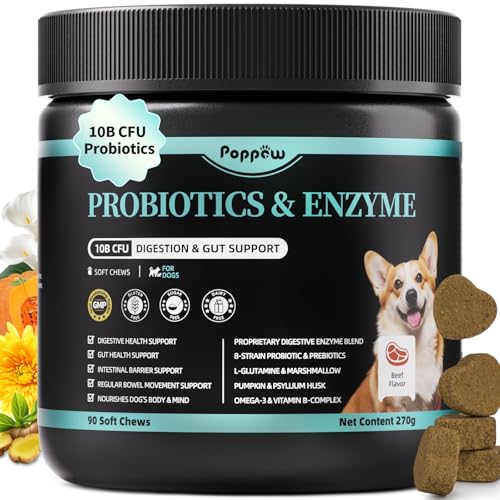Probiotics for Dogs, Digestive Enzymes & Pumpkin Fiber for Gut Health and Bowel Support, Dog Supplement for Gas Relief & Constipation, 10B CFU with 5 Prebiotics & 5 Enzymes, 90 Count Beef Flavor