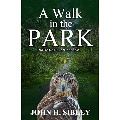 A Walk in the PARK by John Sibley episode artwork