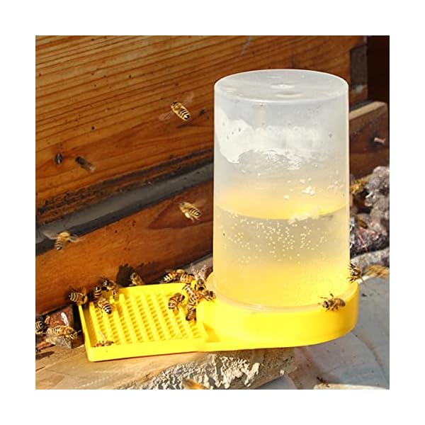 3PCS Bienen Wasser Feeder Bienen Eingang Feeder Flüssigkeit Fütterungsanlage Wasserspender Kunststoff Imkereibedarf… – Bild 7