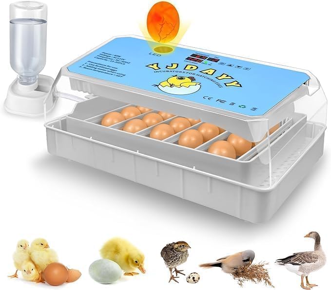 incubator for hatching15-35 eggs with automatic turning, temperature display,led candler for chicken duck and quail,white