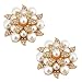 ElegantPark AE Fashion Rhinestones Ivory Pearls Wedding Party Gold Shoe Clips 2 Pcs