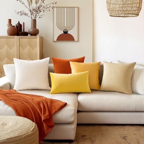 Image of Pack of 2,Miulee Velvet Soft Soild Decorative Square Throw Pillow Covers Set Cushion Case for Sofa Bedroom Car18 x 18 Inch 45 x 45 Cm