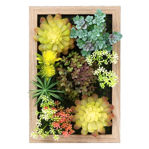 WARNDELIEM 3D Artificial Succulent Floral Framed Faux Succulents Desk Plants for Table and Hanging Wall Decor for Room Decoration Background Living Outdoor(8x12 inch)